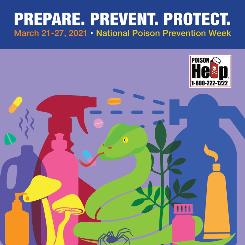 Prepare. Prevent. Protect. National Poison Prevention Week.